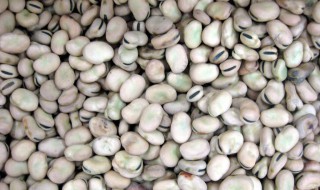 吃蚕豆的禁忌 吃蚕豆的禁忌和副作用