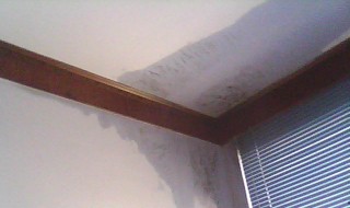 卫生间渗水怎么办 卫生间渗水怎么办,大家的一致选择!