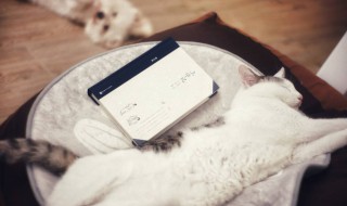 一看书就犯困怎么办（一看书就犯困怎么办如何解决）