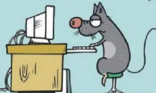 老鼠进家里怎么赶出去 老鼠进家里怎么赶出去的