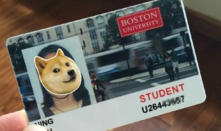 学生卡丢了怎么补办 公交学生卡丢了怎么补办