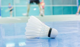 羽毛球大多是什么羽毛制成的 羽毛球大多是什么羽毛制成的材料