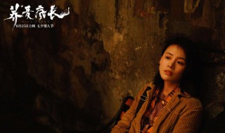 荞麦疯长观后感 荞麦疯长评价豆瓣