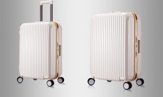 双扣锁行李箱怎么设密码 双扣锁行李箱怎么设密码有小红点