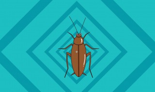 家庭灭蟑螂最好方法 家庭灭蟑螂最好方法视频