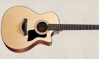 吉他男生怎么选（男生初学吉他买什么吉他好）