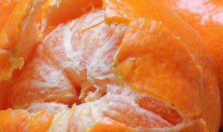 怎么选橘子更甜（怎么选橘子更甜一点）