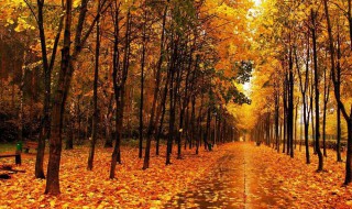 今天立秋是什么时间2020（今天立秋是什么时间立秋）