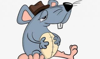 判断是一只还是一窝老鼠（老鼠一般是一窝还是一只）