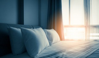 高楼层的蟑螂从哪里来的（高楼的蟑螂是哪里来的）