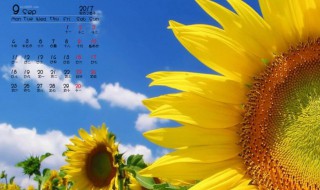 9月黄道吉日有哪几天（9月黄道吉日有哪几天2021）