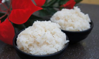 减肥是吃肉不吃米饭吗（吃饭的时候只吃肉不吃米饭能减肥吗）