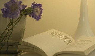 女人魅力和气质的句子 40岁女人魅力和气质的句子