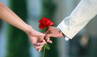 七夕情人节送什么花给男人（七夕女人送男人什么花）