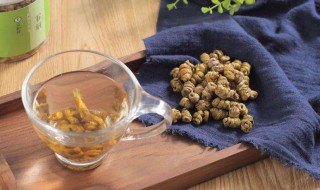 铁皮石斛泡水喝方法 铁皮石斛泡水喝方法和用量大概多少粒