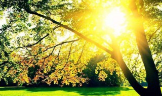 晒伤后皮肤红痛痒怎么办 晒伤后皮肤红痛痒怎么办用什么药