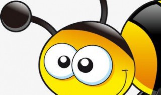 家里进蜜蜂了怎么办 家里进蜜蜂了怎么办打119吗