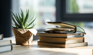 赞美歌唱的好的句子（赞美歌唱的好的句子怎么写）