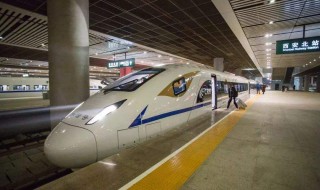 身份证丢失能否乘坐高铁 身份证丢失能否乘坐高铁火车