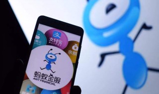 蚂蚁花怎么提升额度（蚂蚁花呗怎么提升额度?学会这三招就够了!）