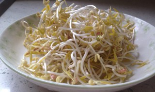 怎么发豆芽简单做法 怎么发豆芽简单做法视频