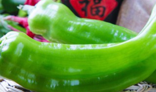 尖椒怎么保存过冬（尖椒怎么保存过冬天吃）