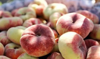 蟠桃要怎么保存 蟠桃怎么保存时间长