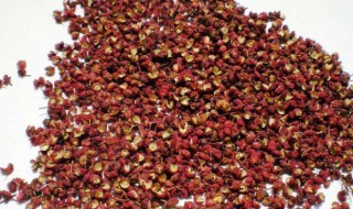 嫩花椒要怎么保存 嫩花椒要怎么保存才好