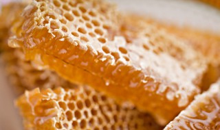 巢蜜怎么保存久点（巢蜜的保质期是多久）