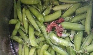 豆荚怎么放冰箱保存（豆荚怎么放冰箱保存好）