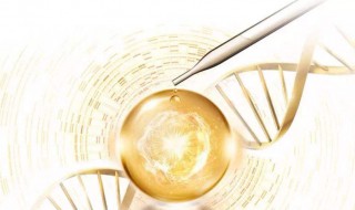 烟酰胺的功效与作用（烟酰胺的功效与作用会长毛吗）