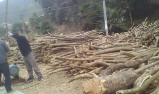 怎样做木材生意（怎么做木材生意）