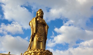 普陀山南海观音介绍（浙江普陀山南海观音）