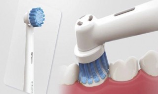 电动牙刷一开始怎么用 刚买电动牙刷开始怎么用