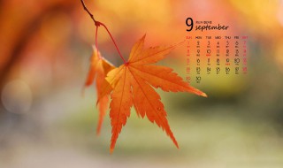9月份节日 9月份节日大全