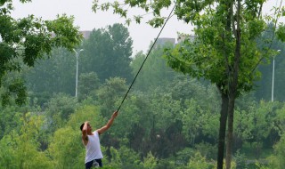 怎么做粘蝉胶（怎么做粘蝉胶水）