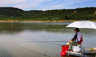 水库垂钓技巧（水库垂钓技巧图解）