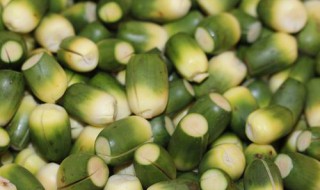 槟榔有什么作用 男人吃槟榔有什么作用