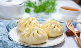 不发面也可以做包子的方法 不发面能不能做包子