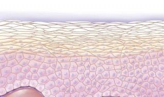 怎么去掉老年斑（怎么去掉老年斑?）