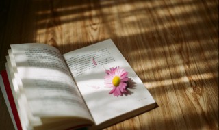 简单干净的短句霸气 简单干净句子短句