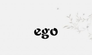 ego是什么意思中文 ego是什么意思中文ring