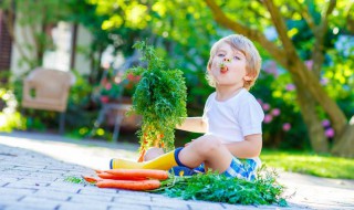 鼠宝带宸的男孩名字 鼠宝带宸的男孩名字大全