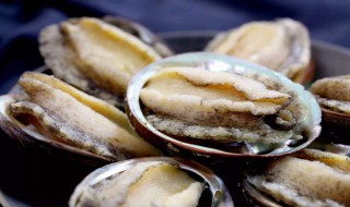 鲍鱼的功效与作用及营养 鲍鱼的功效与作用及营养禁忌