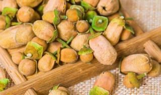 代代花的功效 代代花的功效与作用及禁忌的功效与作用