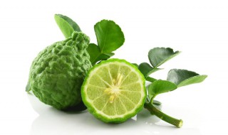 佛手柑精油的功效 佛手柑精油的功效与作用及副作用