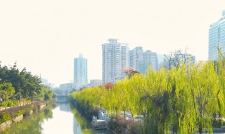 中国十大宜居城市（中国十佳宜居城市排行榜）