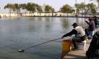 钓青鱼最快的方法 钓青鱼绝招