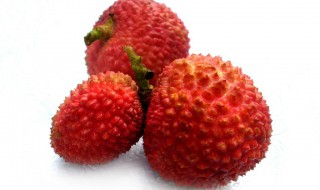 荔枝冷库的储藏方法 荔枝冷库储存保存多少