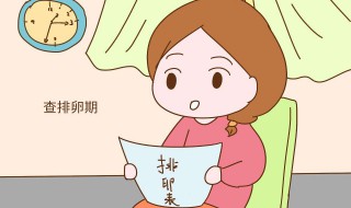 科学备孕需要注意什么（如果备孕需要注意什么）